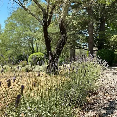 Gasthuis Domaine De Bonelli 4*