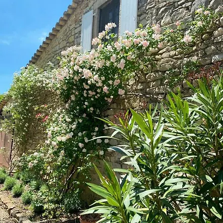 Domaine De Bonelli Conqueyrac