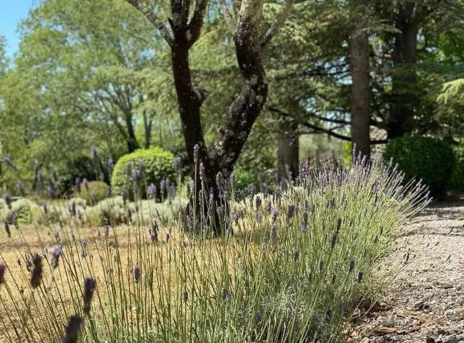بيت ضيافة Domaine De Bonelli 4*